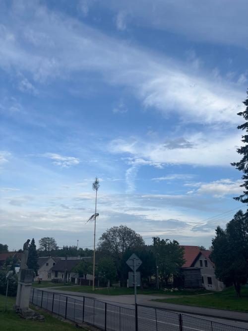 Kácení máje